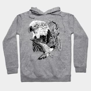 Eagle hawk and owl Hoodie